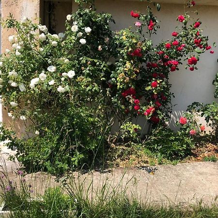 Le Jardin Suspendu Appartement Rillieux-la-Pape Buitenkant foto