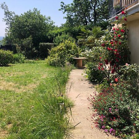 Le Jardin Suspendu Appartement Rillieux-la-Pape Buitenkant foto