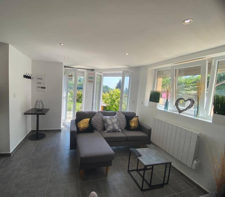 Le Jardin Suspendu Appartement Rillieux-la-Pape Buitenkant foto