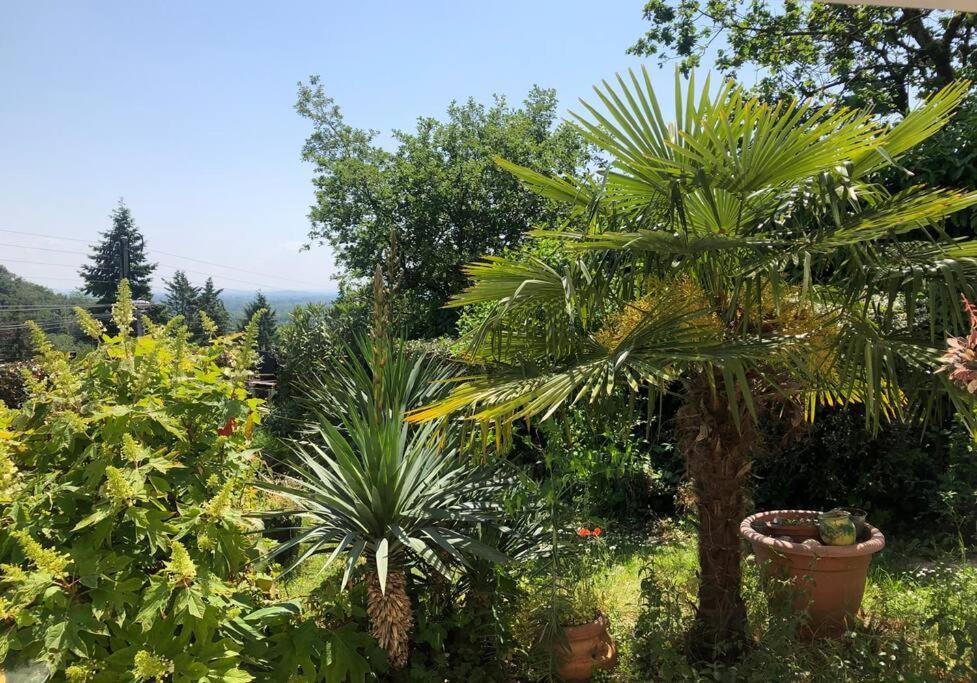 Le Jardin Suspendu Appartement Rillieux-la-Pape Buitenkant foto