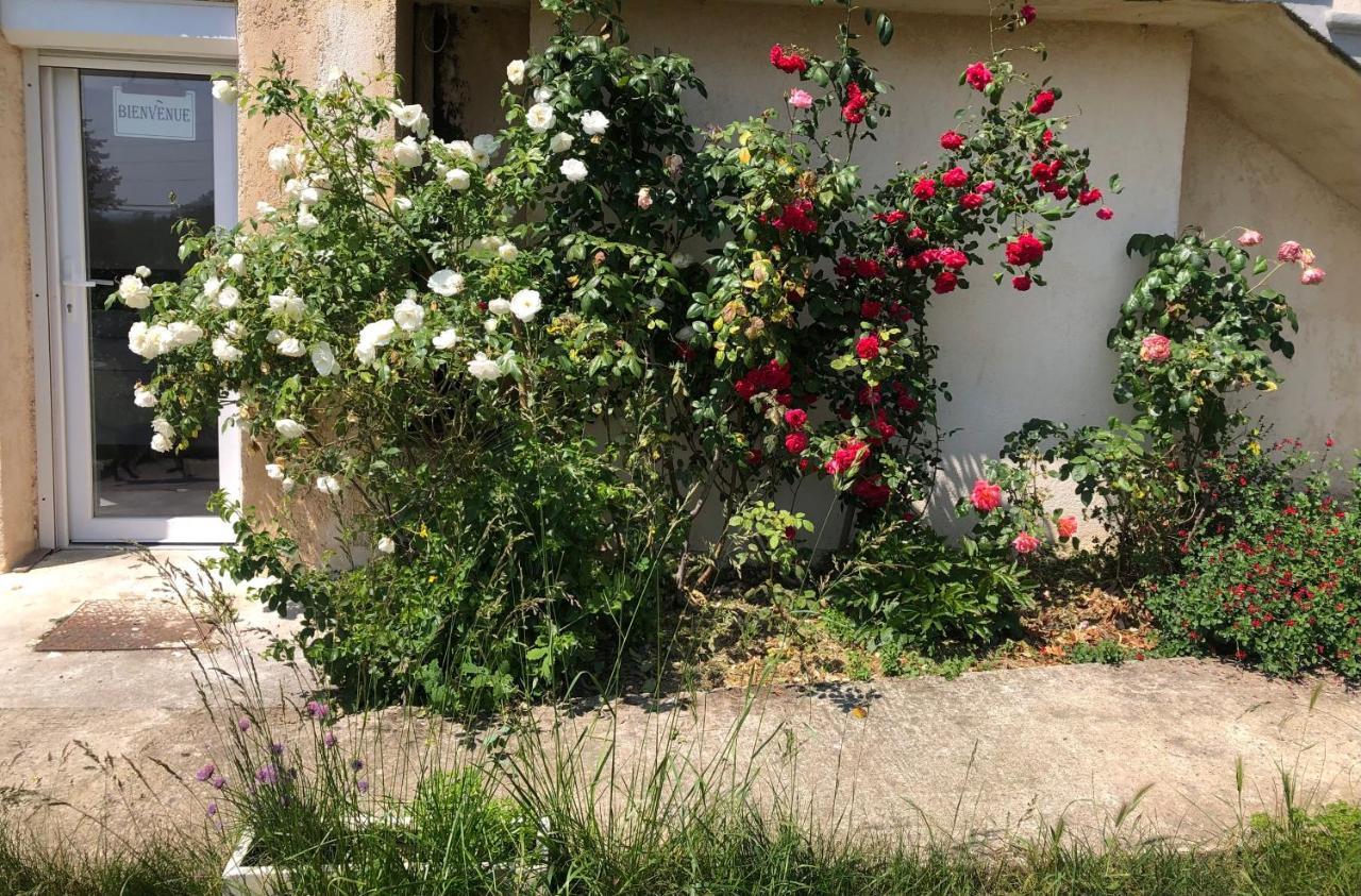 Le Jardin Suspendu Appartement Rillieux-la-Pape Buitenkant foto